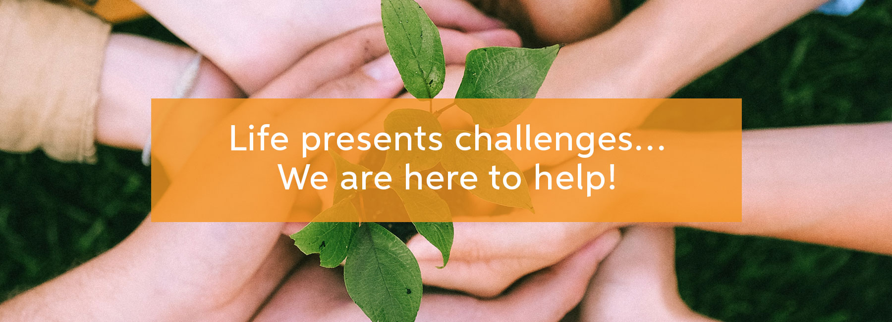 Help Centre Housing Support https//thehelpandlegalcentre.ca